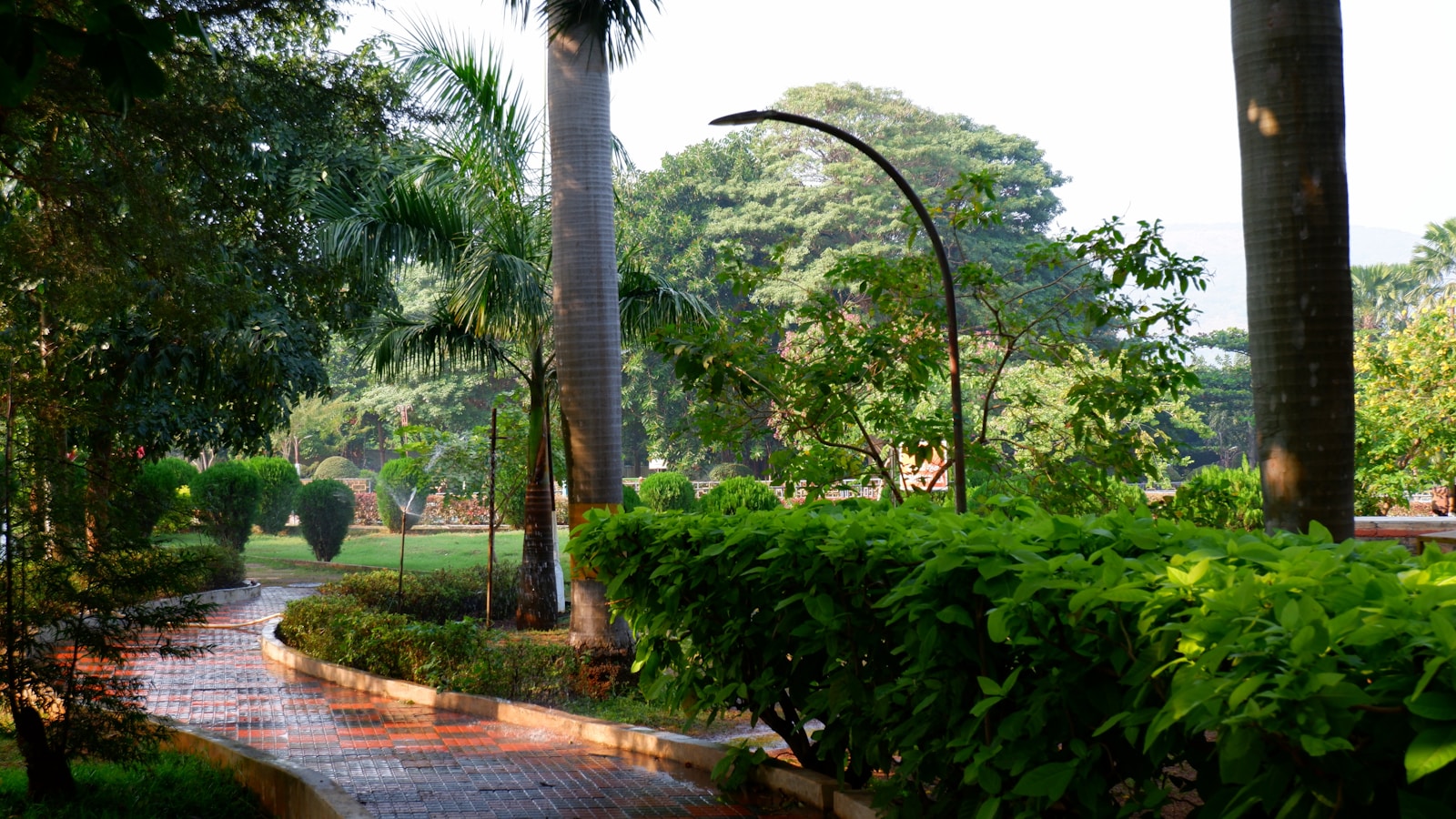 Korszerű felszíni öntözőrendszer Szili Krisztiántól